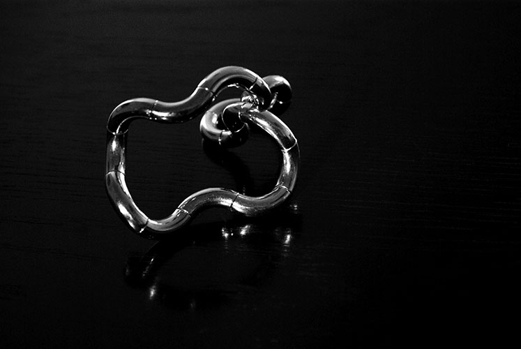 IMGP1654SW